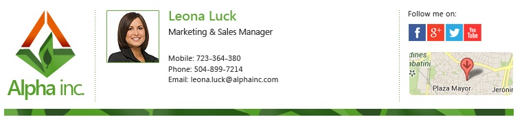 An example of a well-balanced business email signature