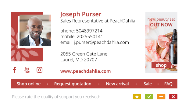 Sales email signature design example