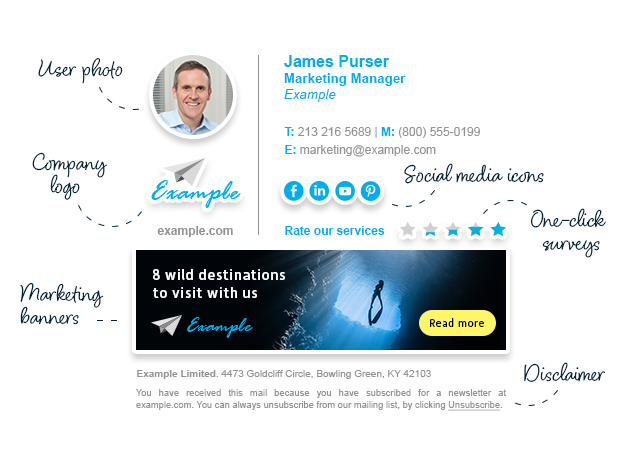 nearly all company email signature elements