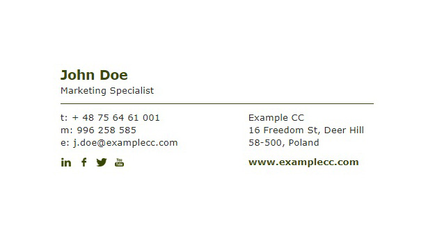 Business Email Signature Template