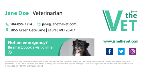 Best email signatures for 2020 - JaneTheVet
