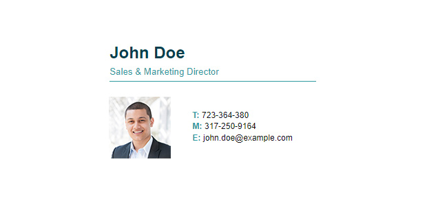 Internal email signature example with user photo