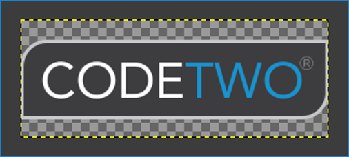 08 - CodeTwo logo with whitespace