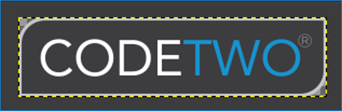 09 - CodeTwo logo cropped